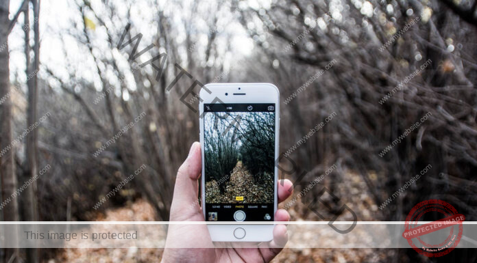 Getting Back to the Basics of Pure Education