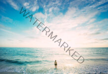 Discover the Birth Place of Pizza