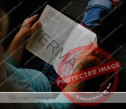 Must Have Beauty Kits & Palettes