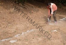 Now CNG from wet waste, production plant to come up in Jahangirabad