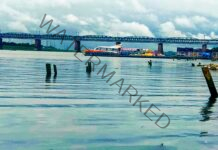 ‘Nirmal’ Ganga returns, bacteria count drops in UP