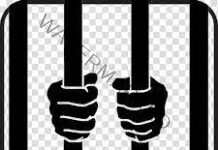 Prisoners excel in UP Board 2023 exams, 95.16% pass in class 10th, 69.23 % in class 12