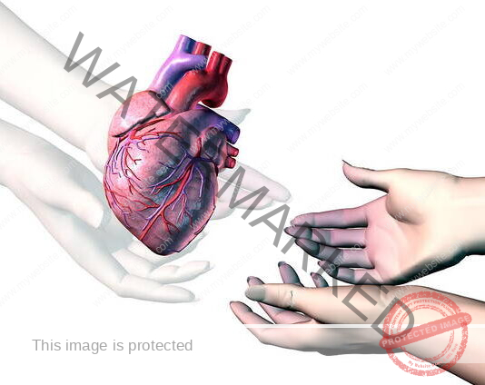 Four out of every five organ recipients are men, courtesy Gender Disparity