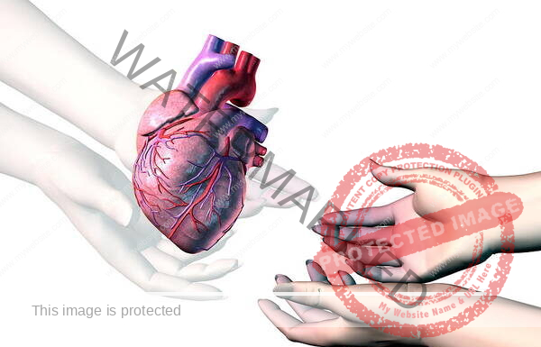 Four out of every five organ recipients are men, courtesy Gender Disparity