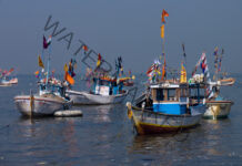 266 Indian fishermen lodged in foreign jails, 184 in Pakistan jails