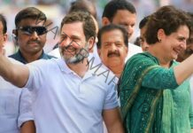 Finally Priyanka Gandhi Vadra to test political waters from Wayanad