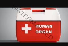International organ racket booms, donor gets Rs 3.5 lakh per kidney, recipient pays Rs 20 to 22 lakh