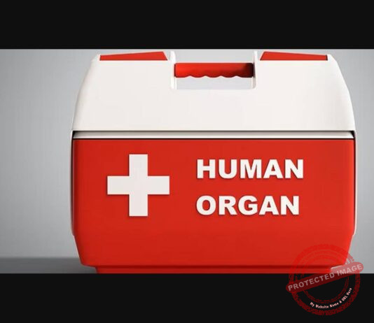 International organ racket booms, donor gets Rs 3.5 lakh per kidney, recipient pays Rs 20 to 22 lakh