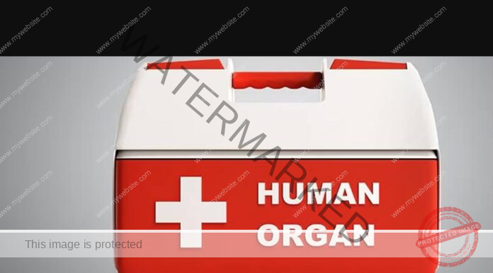 International organ racket booms, donor gets Rs 3.5 lakh per kidney, recipient pays Rs 20 to 22 lakh