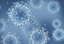 Covid-19 on the rise, 106 in Maharashtra, 182 in Kerala, two die in Mumbai