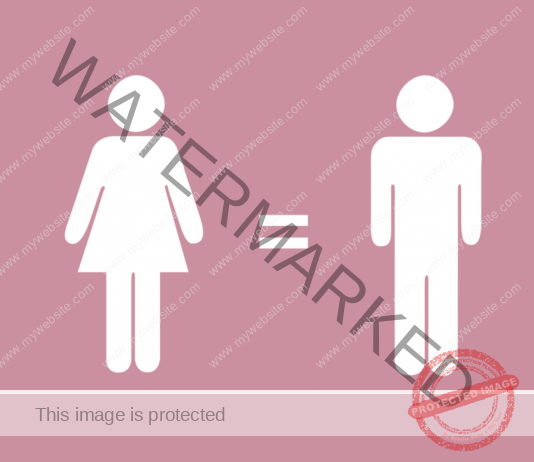 Country’s population expected to be more feminine in 2036 , courtesy, positive trend in Gender Equality