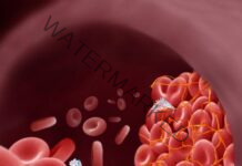 Highly porous Xerogel dressing to save lives by clotting blood faster