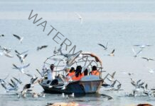 Again a first, Yogi govt to host three-day International Bird Festival from Feb 16