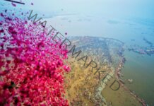 A Kumbh of shockers, police tracks suspicious elements in CCTV footage of Stampede site