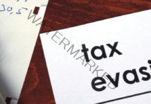 DGGI detects 1,700 fake ITC cases involving Rs 18,000 crore with 98 arrests in FY 2023-24