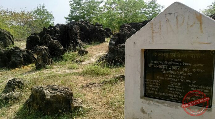 Salkhan Fossils Park joins UNESCO’s tentative World Heritage List