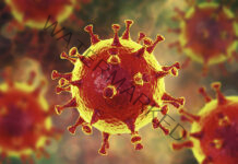 Corona cases rise 20 times in 15 days, count crosses 5000, four deaths in 24 hours