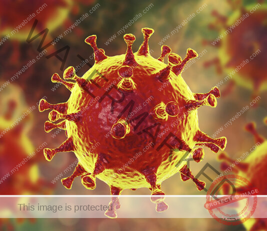 Covid-19 active cases surpass 3,750, 360 new infections reported in 24 hours