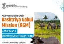 Milk, Egg, Meat produce hit record highs in 2025, 25% of global milk output inked, ‘Gau Chip’ developed