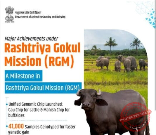 Milk, Egg, Meat produce hit record highs in 2025, 25% of global milk output inked, ‘Gau Chip’ developed