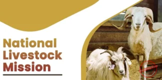 Centre expands livestock schemes to Boost Productivity, Insurance Coverage and Rural Entrepreneurship