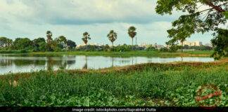 India’s Ramsar Network expands to 98 Sites with addition of two New Wetlands