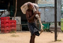 No Death Certificate? Odisha Man Arrives at Bank With Sister’s Skeleton