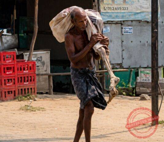 No Death Certificate? Odisha Man Arrives at Bank With Sister’s Skeleton