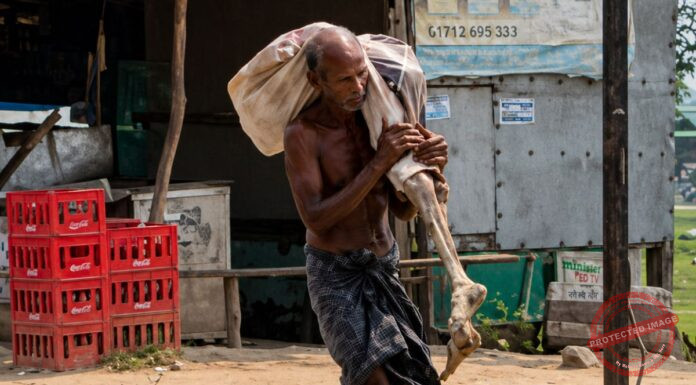 No Death Certificate? Odisha Man Arrives at Bank With Sister’s Skeleton