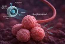 Tiny Smart Particles Show Big Promise in Fighting Breast Cancer