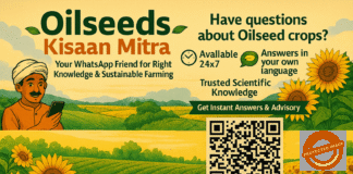 AI on WhatsApp Empowers Oilseed Farmers Across India