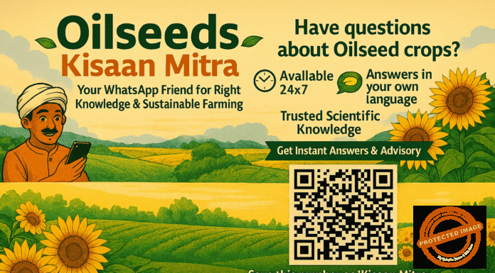 AI on WhatsApp Empowers Oilseed Farmers Across India