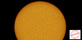 Kodaikanal solar data sheds light on Sun’s giant convection patterns and solar cycle dynamics