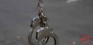 India Brings Back 274 Fugitives in Seven Years, Assets Worth ₹17,874 Crore Attached