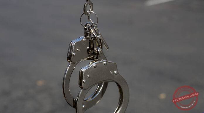 India Brings Back 274 Fugitives in Seven Years, Assets Worth ₹17,874 Crore Attached