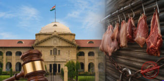 Allahabad High Court Dismisses PIL Against Closure of Meat Shops on Kanwar Yatra Route