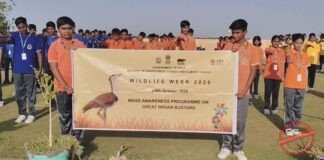 Two Captive-Bred Great Indian Bustards Set for Release into the Wild