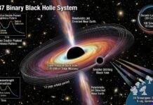 Decade-Long Study Offers Fresh Clues on Rare Binary Black Hole System