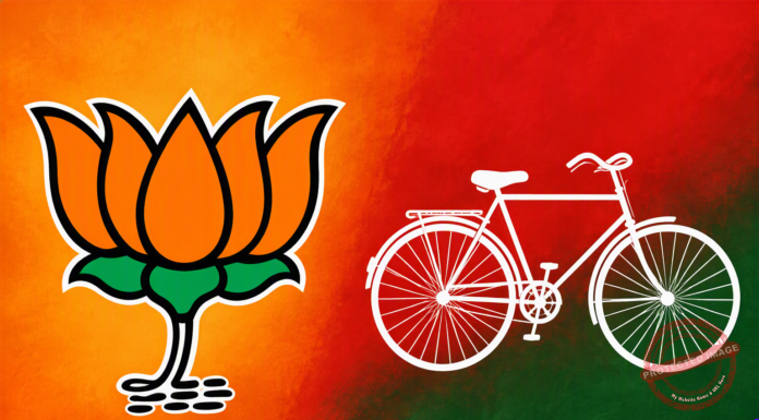 BJP Bags Eight Rajya Sabha Seats as SP Secures Two in UP